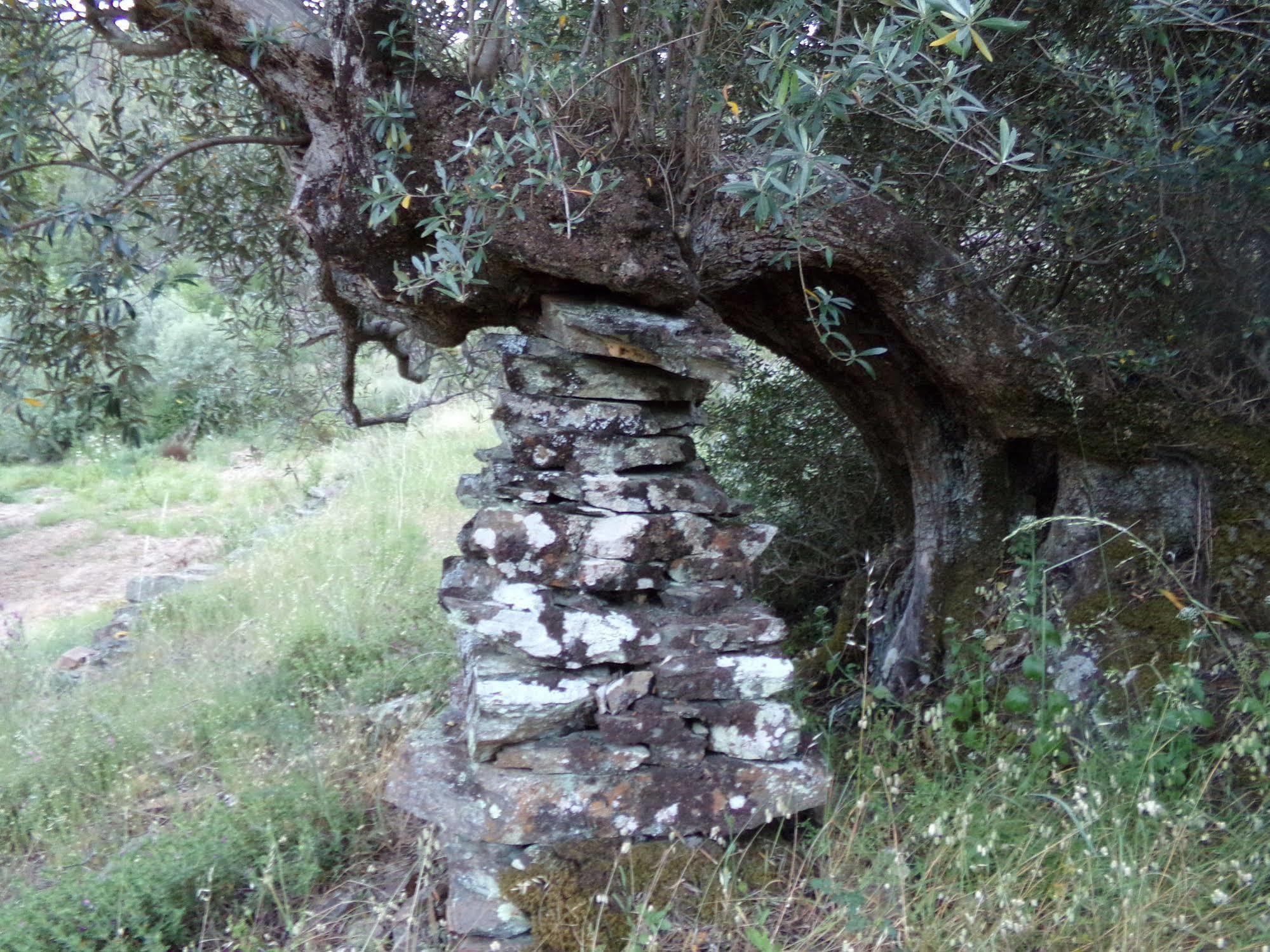 Casas Dos Carregais Villa Luaran gambar